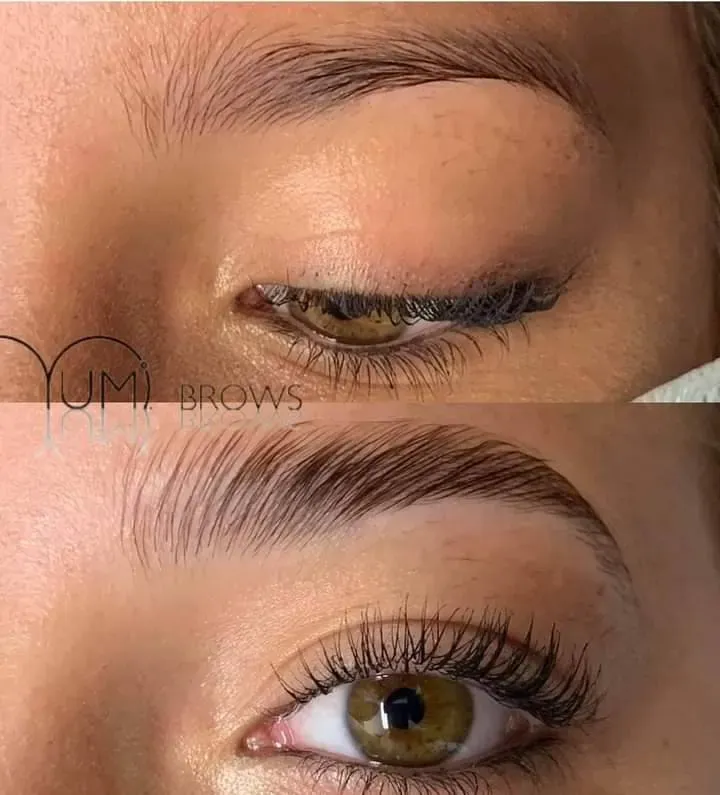 Expert du regard près de Cossé-le-Vivien